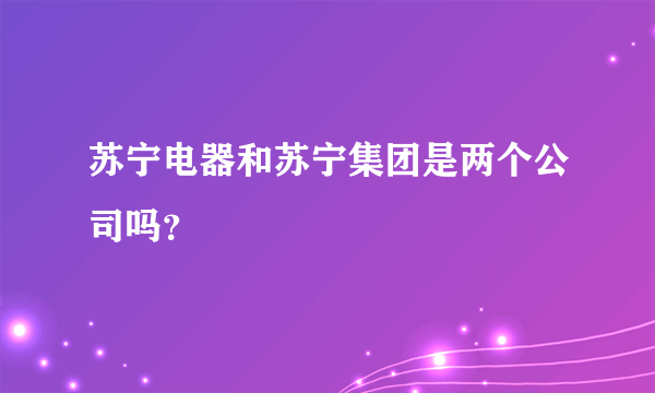 苏宁电器和苏宁集团是两个公司吗？