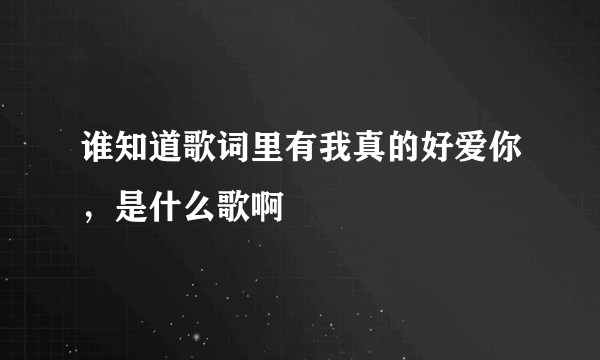 谁知道歌词里有我真的好爱你，是什么歌啊