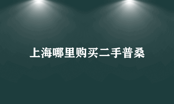 上海哪里购买二手普桑