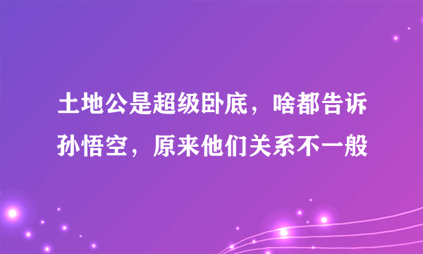 土地公是超级卧底，啥都告诉孙悟空，原来他们关系不一般