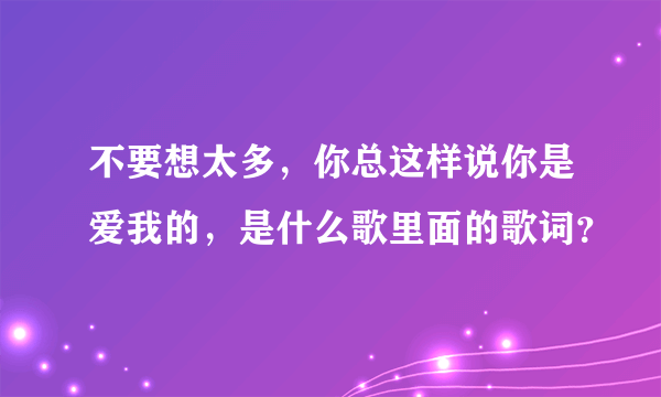 不要想太多，你总这样说你是爱我的，是什么歌里面的歌词？