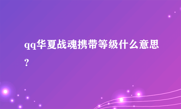 qq华夏战魂携带等级什么意思?