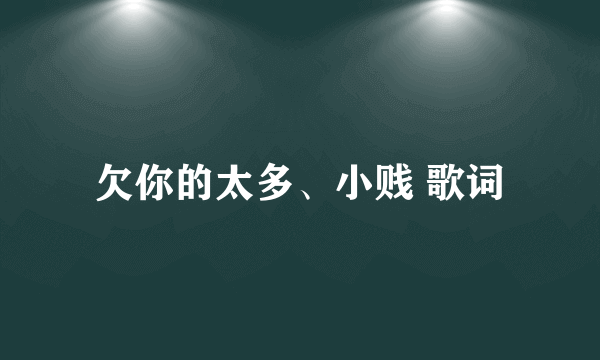 欠你的太多、小贱 歌词