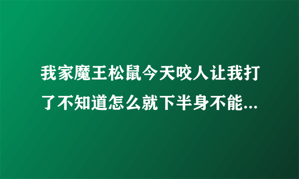 我家魔王松鼠今天咬人让我打了不知道怎么就下半身不能动了是吓的还是怎么回事着急求解决办法