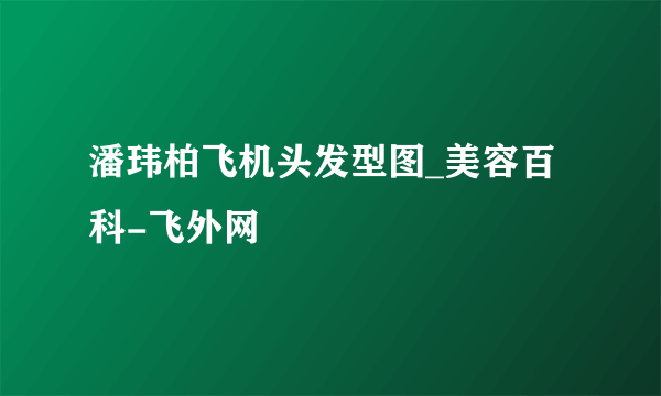 潘玮柏飞机头发型图_美容百科-飞外网