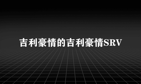 吉利豪情的吉利豪情SRV