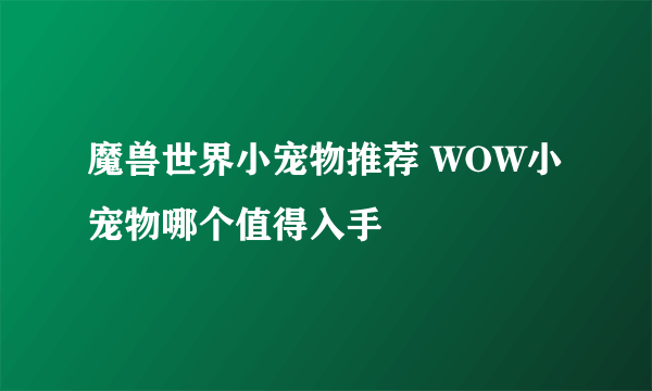 魔兽世界小宠物推荐 WOW小宠物哪个值得入手