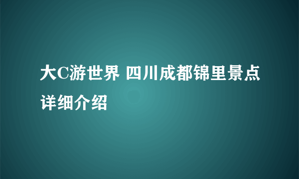 大C游世界 四川成都锦里景点详细介绍