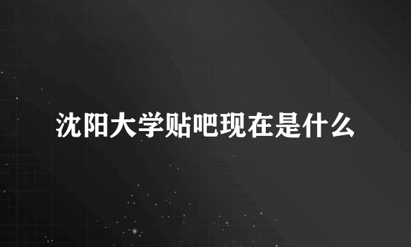 沈阳大学贴吧现在是什么