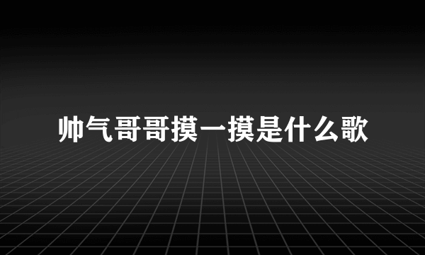 帅气哥哥摸一摸是什么歌