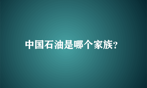 中国石油是哪个家族？