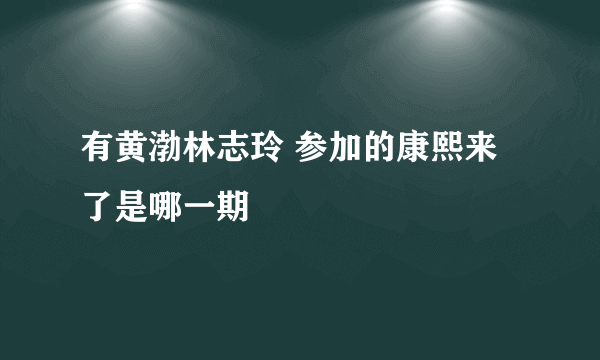 有黄渤林志玲 参加的康熙来了是哪一期