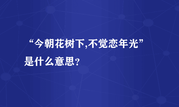 “今朝花树下,不觉恋年光”是什么意思？