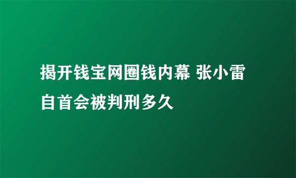 揭开钱宝网圈钱内幕 张小雷自首会被判刑多久