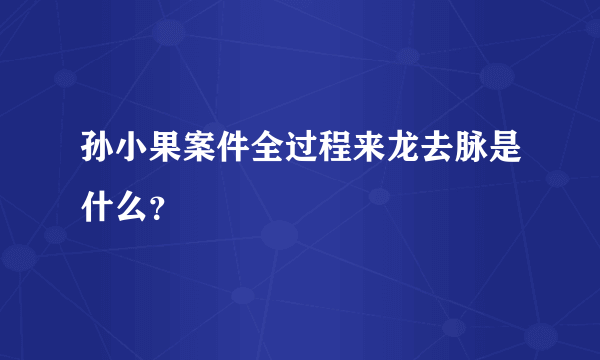 孙小果案件全过程来龙去脉是什么？