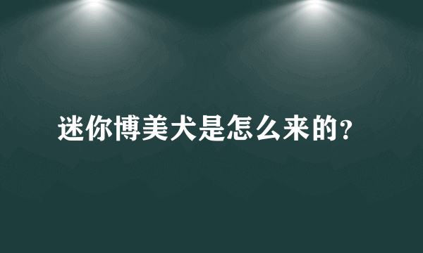 迷你博美犬是怎么来的？