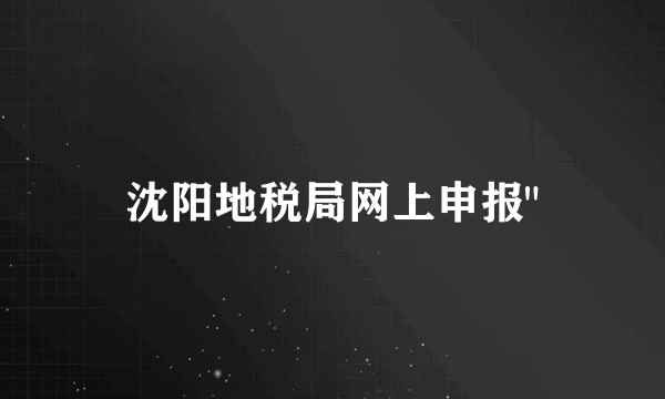 沈阳地税局网上申报