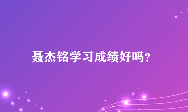 聂杰铭学习成绩好吗？