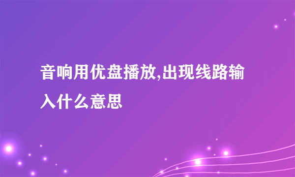 音响用优盘播放,出现线路输入什么意思