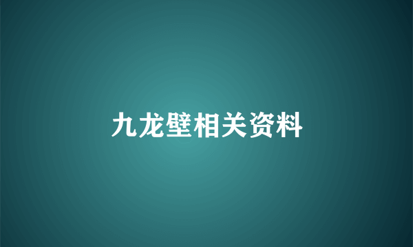 九龙壁相关资料