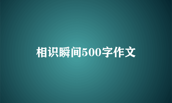 相识瞬间500字作文