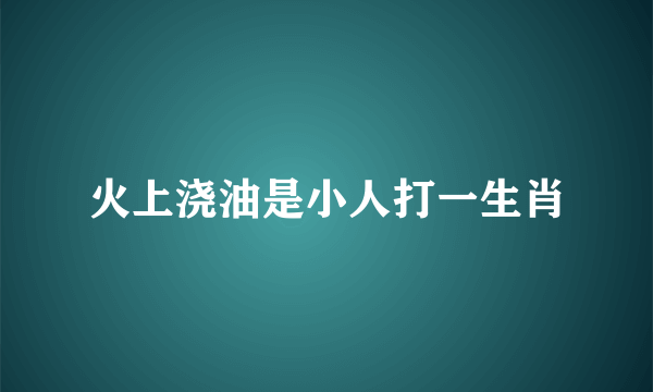 火上浇油是小人打一生肖