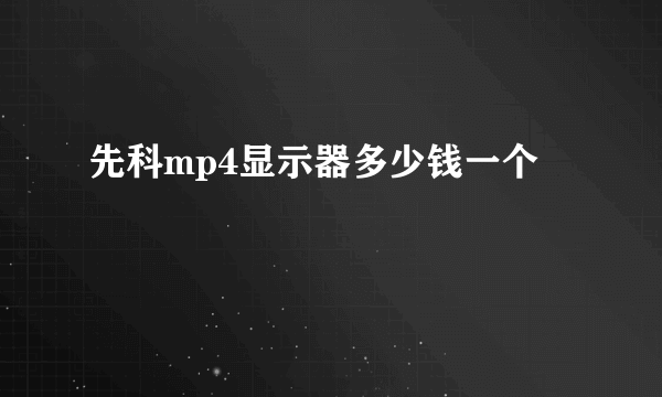 先科mp4显示器多少钱一个