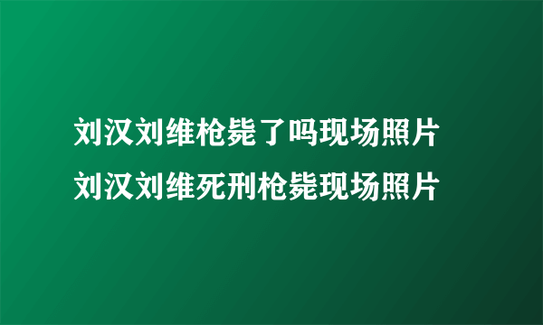 刘汉刘维枪毙了吗现场照片 刘汉刘维死刑枪毙现场照片