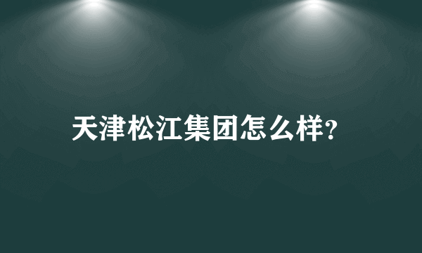 天津松江集团怎么样？