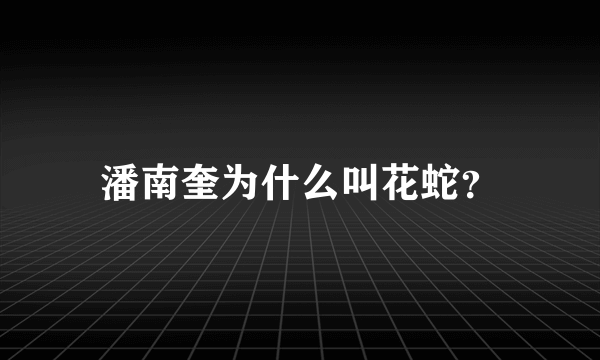 潘南奎为什么叫花蛇？