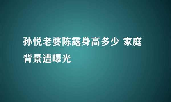 孙悦老婆陈露身高多少 家庭背景遭曝光