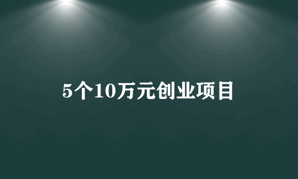 5个10万元创业项目