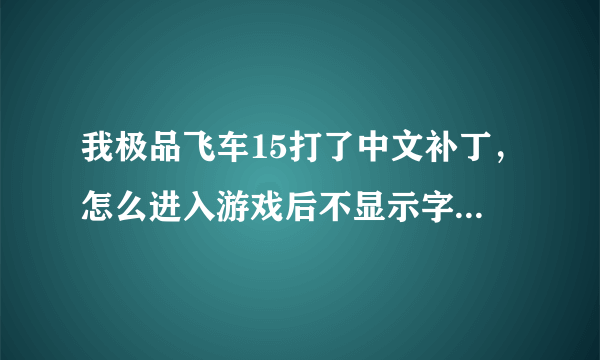 我极品飞车15打了中文补丁，怎么进入游戏后不显示字幕，请问怎么解决，谢谢了