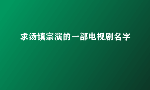 求汤镇宗演的一部电视剧名字