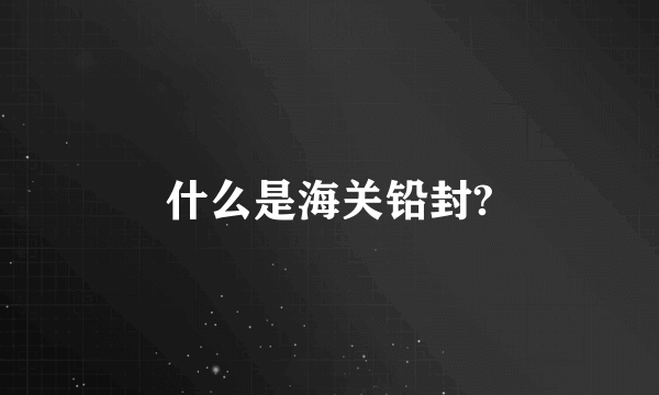 什么是海关铅封?