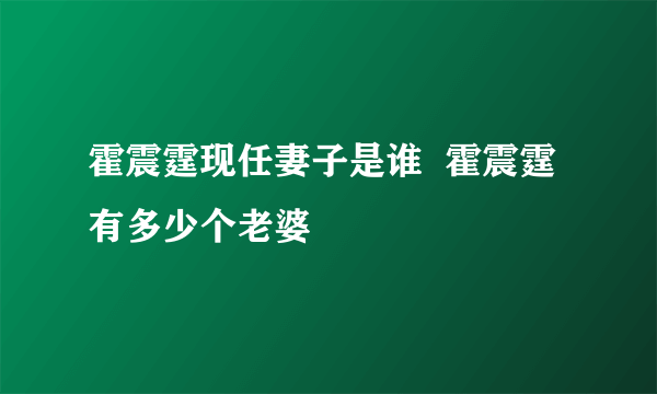 霍震霆现任妻子是谁  霍震霆有多少个老婆