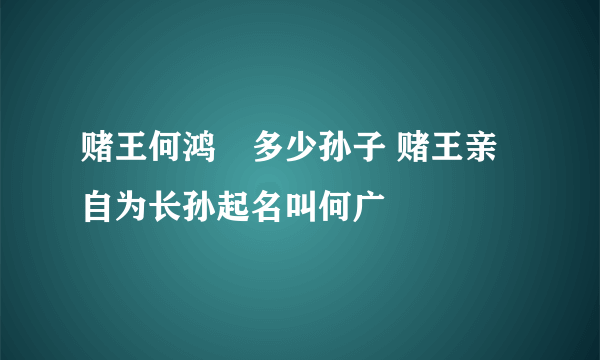 赌王何鸿燊多少孙子 赌王亲自为长孙起名叫何广燊