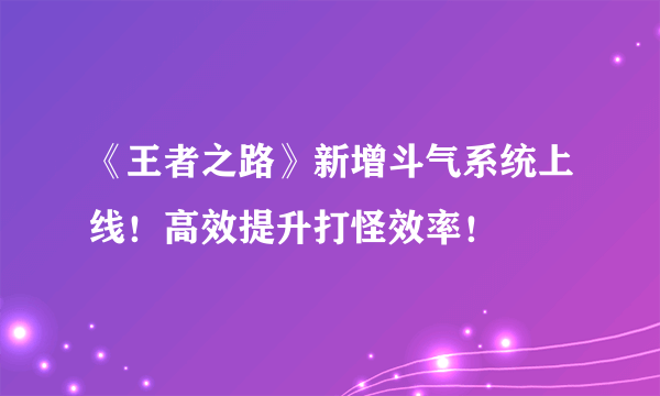 《王者之路》新增斗气系统上线！高效提升打怪效率！