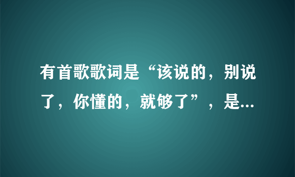 有首歌歌词是“该说的，别说了，你懂的，就够了”，是哪首歌？