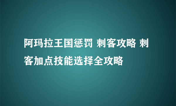 阿玛拉王国惩罚 刺客攻略 刺客加点技能选择全攻略