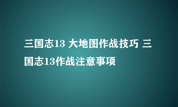 三国志13 大地图作战技巧 三国志13作战注意事项