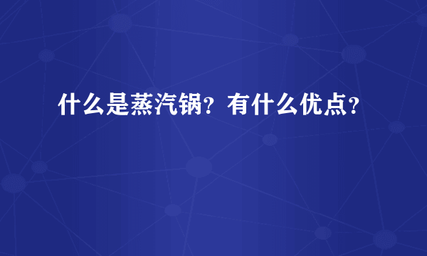 什么是蒸汽锅？有什么优点？