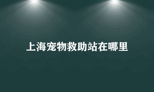 上海宠物救助站在哪里