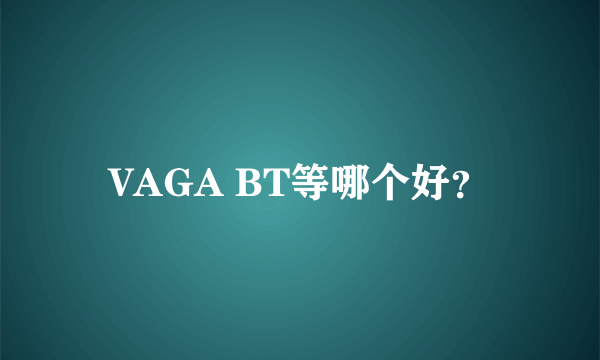 VAGA BT等哪个好？