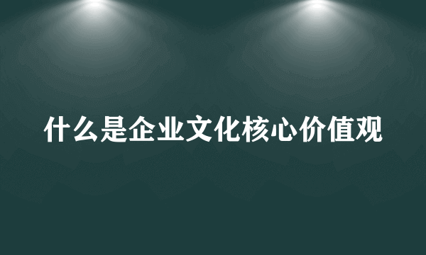 什么是企业文化核心价值观