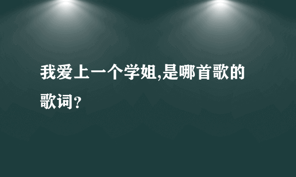 我爱上一个学姐,是哪首歌的歌词？