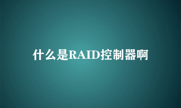 什么是RAID控制器啊