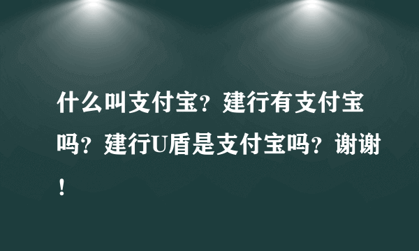 什么叫支付宝？建行有支付宝吗？建行U盾是支付宝吗？谢谢！