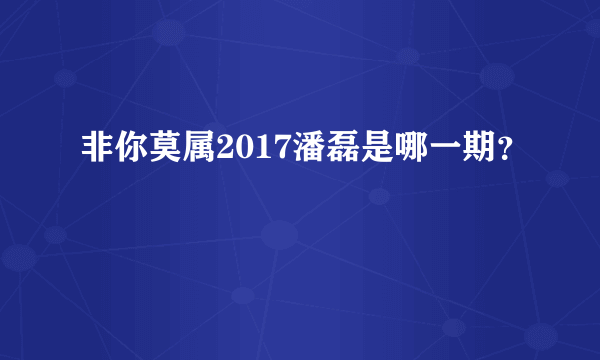 非你莫属2017潘磊是哪一期？