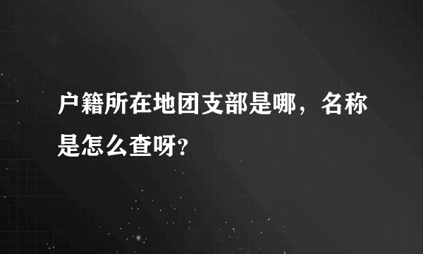 户籍所在地团支部是哪，名称是怎么查呀？